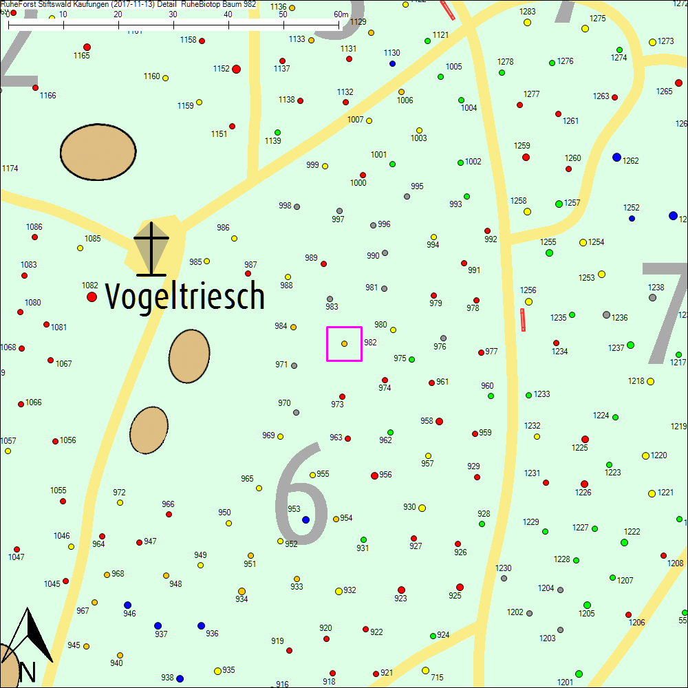 Detailkarte zu Baum 982