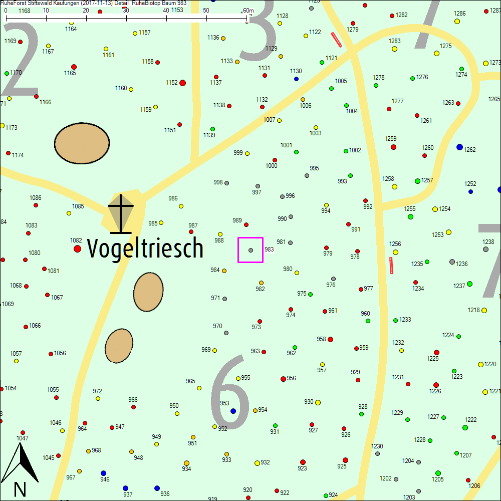 Detailkarte zu Baum 983