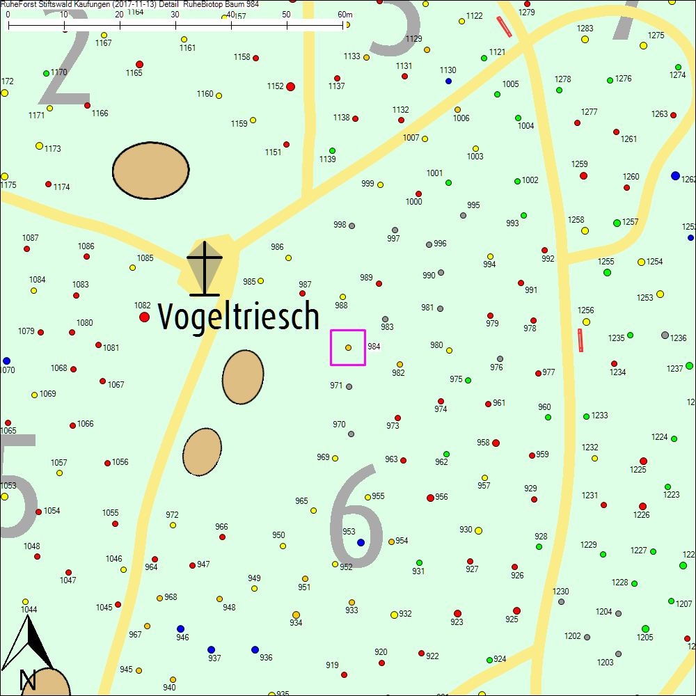 Detailkarte zu Baum 984