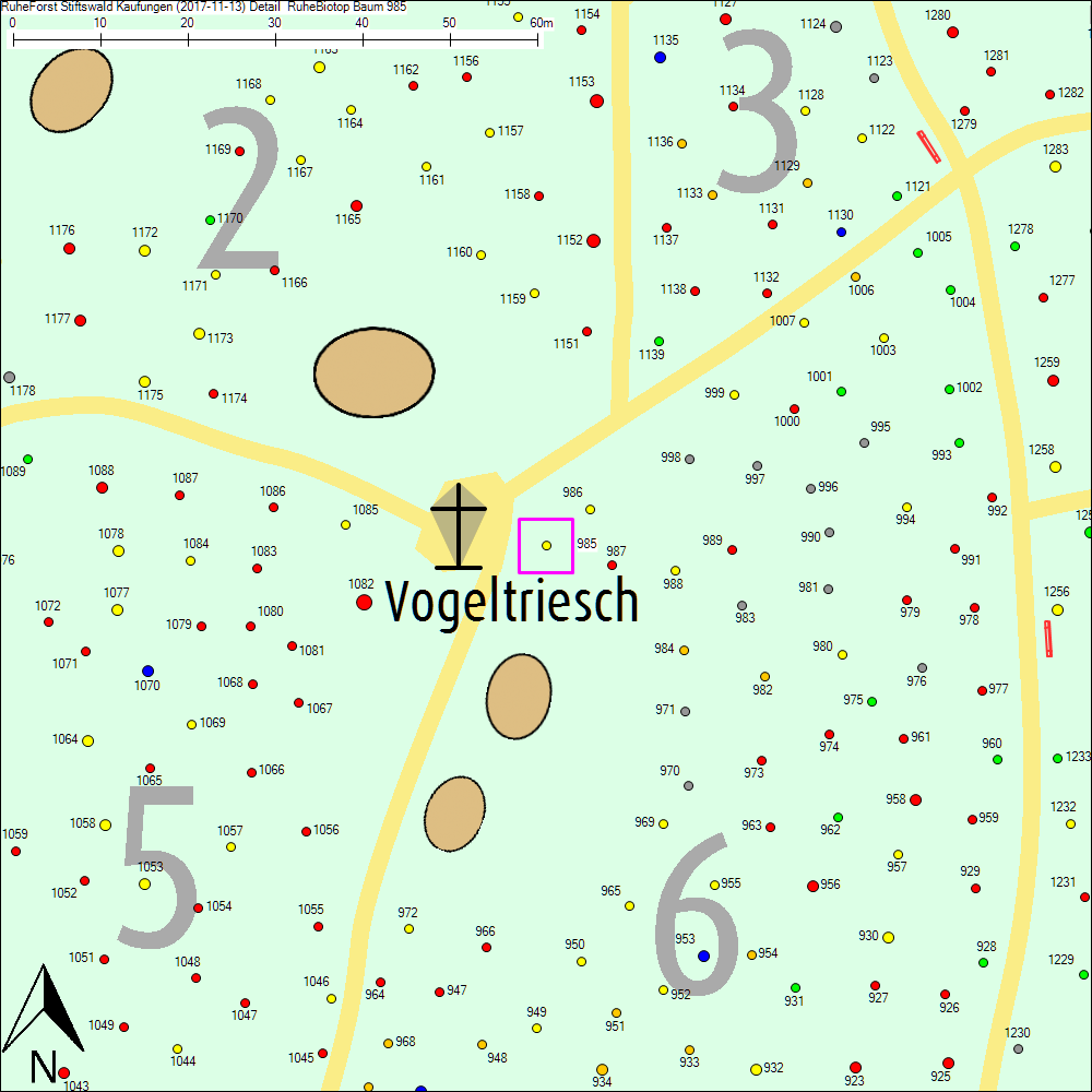 Detailkarte zu Baum 985