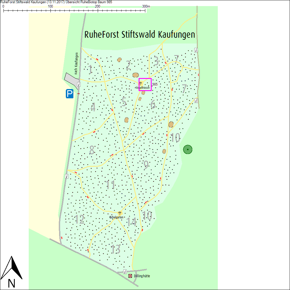 &Uuml;bersichtskarte zu Baum 985