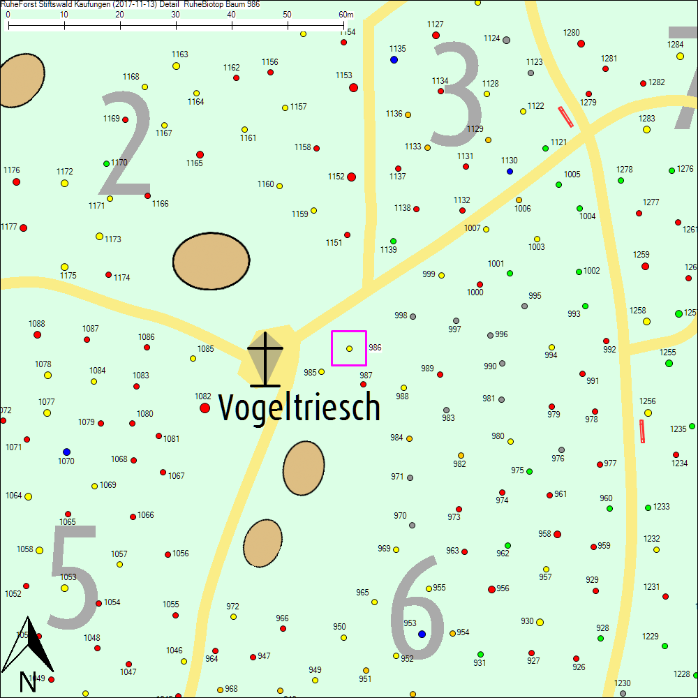 Detailkarte zu Baum 986