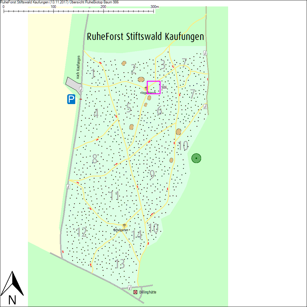 &Uuml;bersichtskarte zu Baum 986