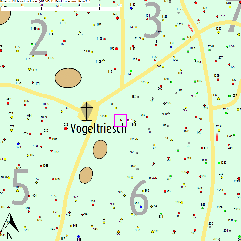 Detailkarte zu Baum 987