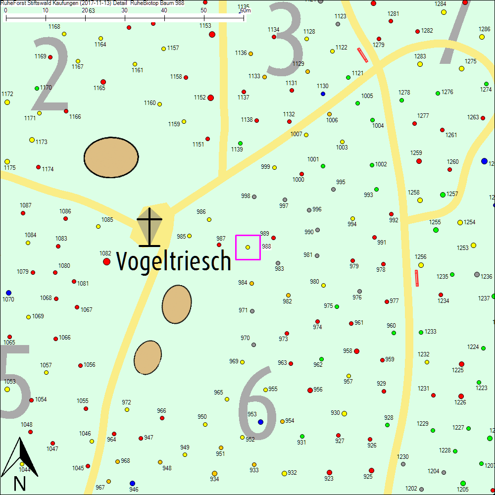 Detailkarte zu Baum 988