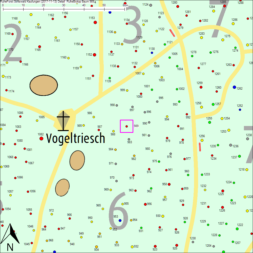 Detailkarte zu Baum 989