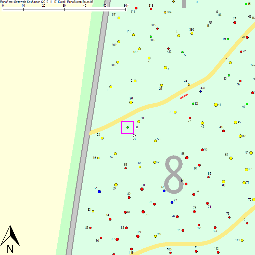 Detailkarte zu Baum 98