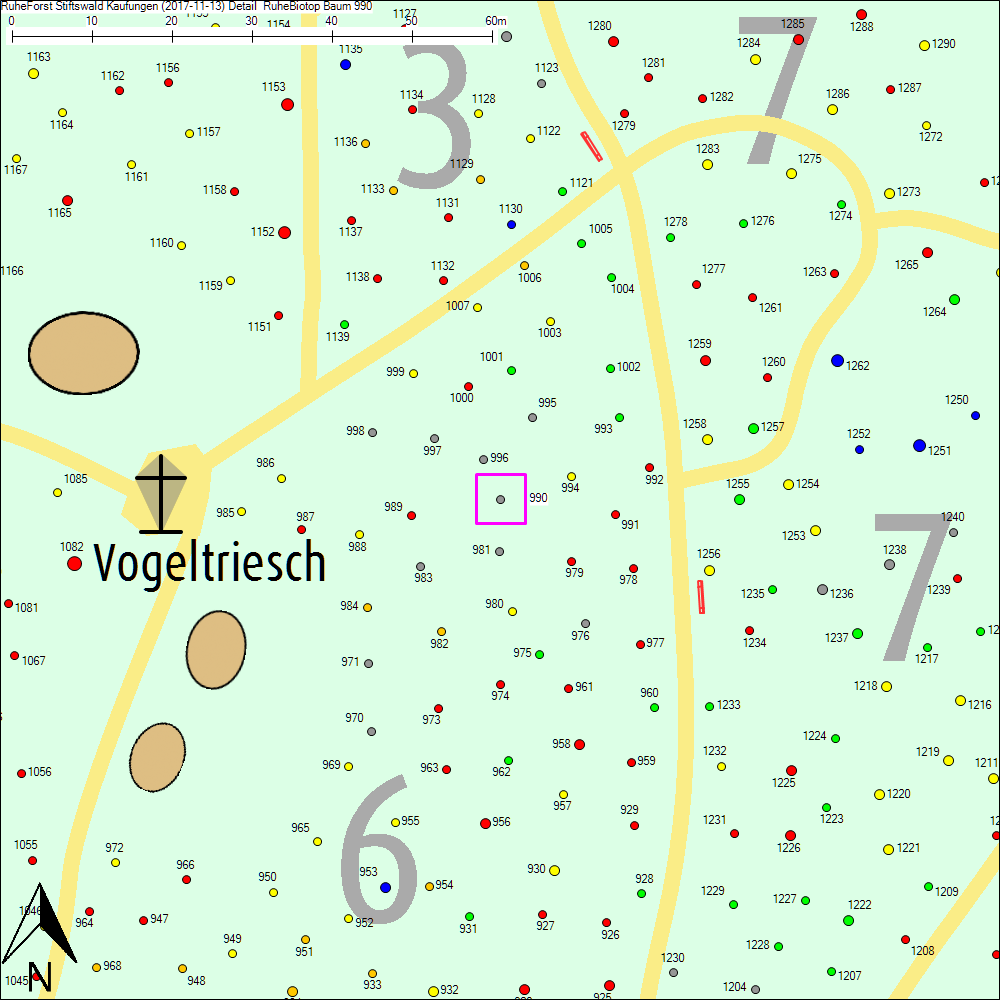 Detailkarte zu Baum 990