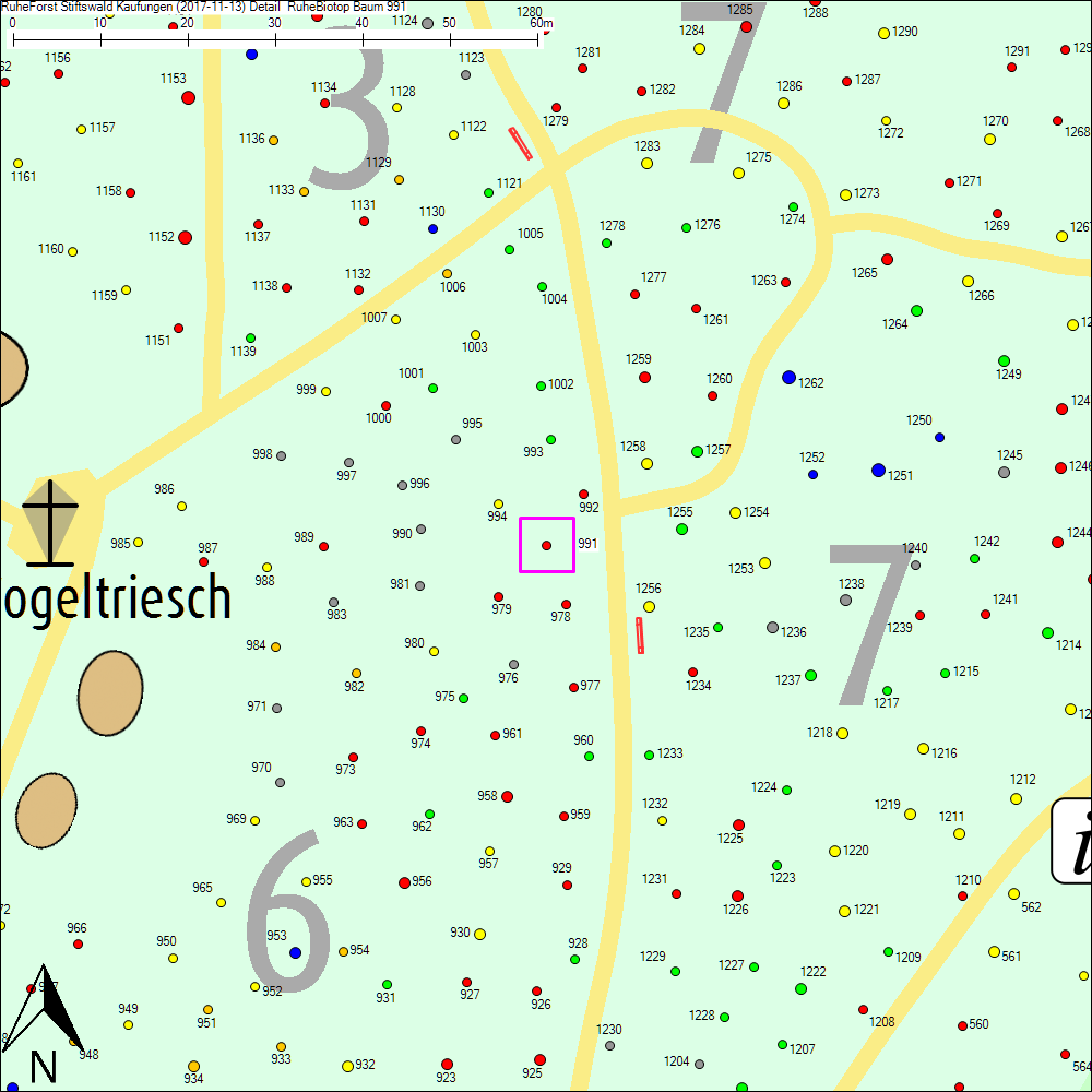 Detailkarte zu Baum 991