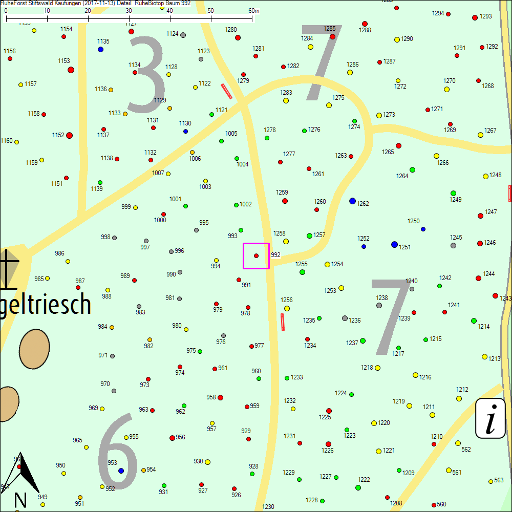 Detailkarte zu Baum 992