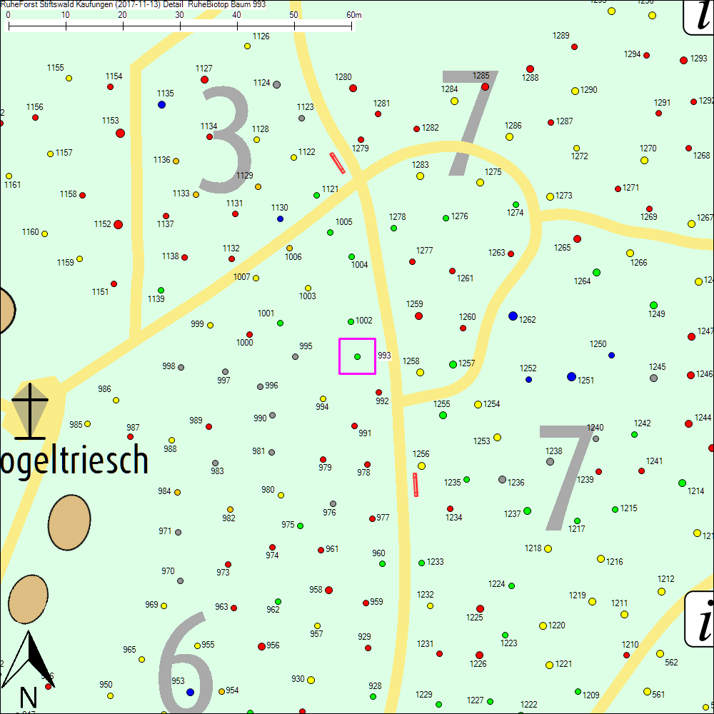 Detailkarte zu Baum 993