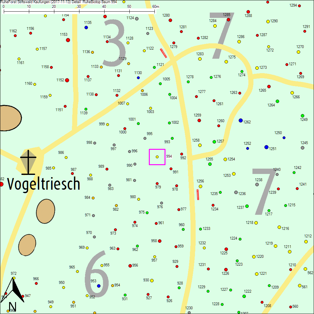 Detailkarte zu Baum 994
