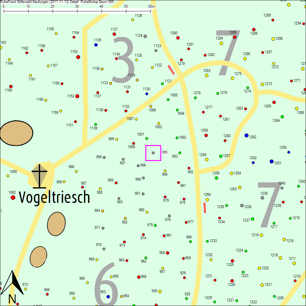 Detailkarte zu Baum 995
