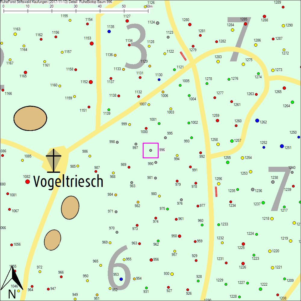 Detailkarte zu Baum 996