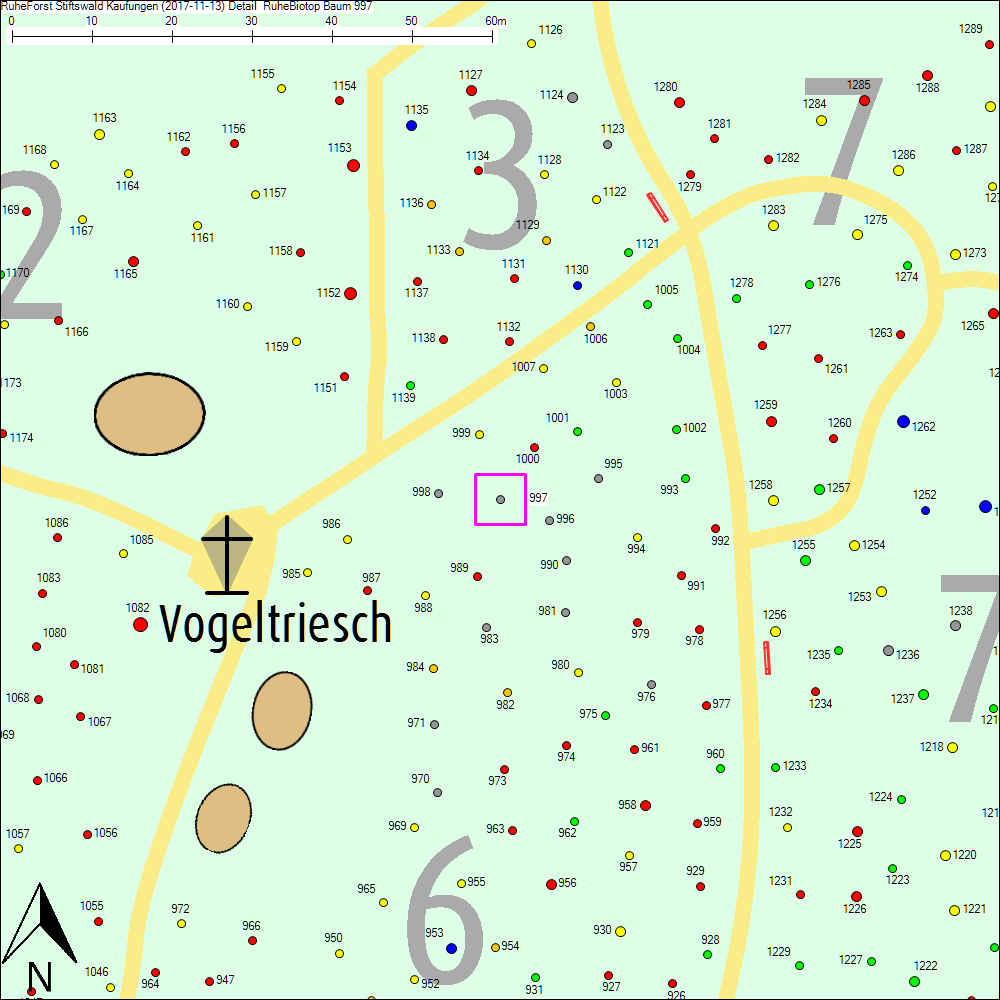 Detailkarte zu Baum 997