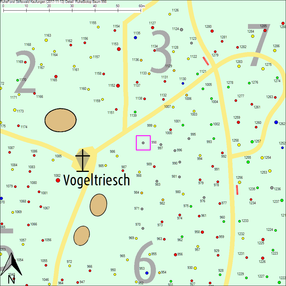 Detailkarte zu Baum 998
