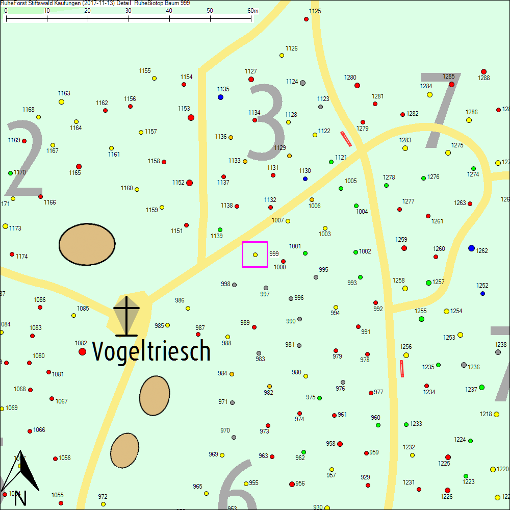 Detailkarte zu Baum 999