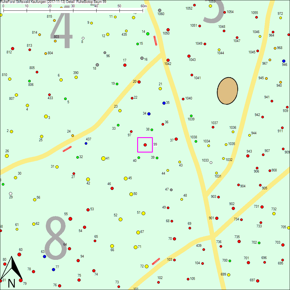 Detailkarte zu Baum 99