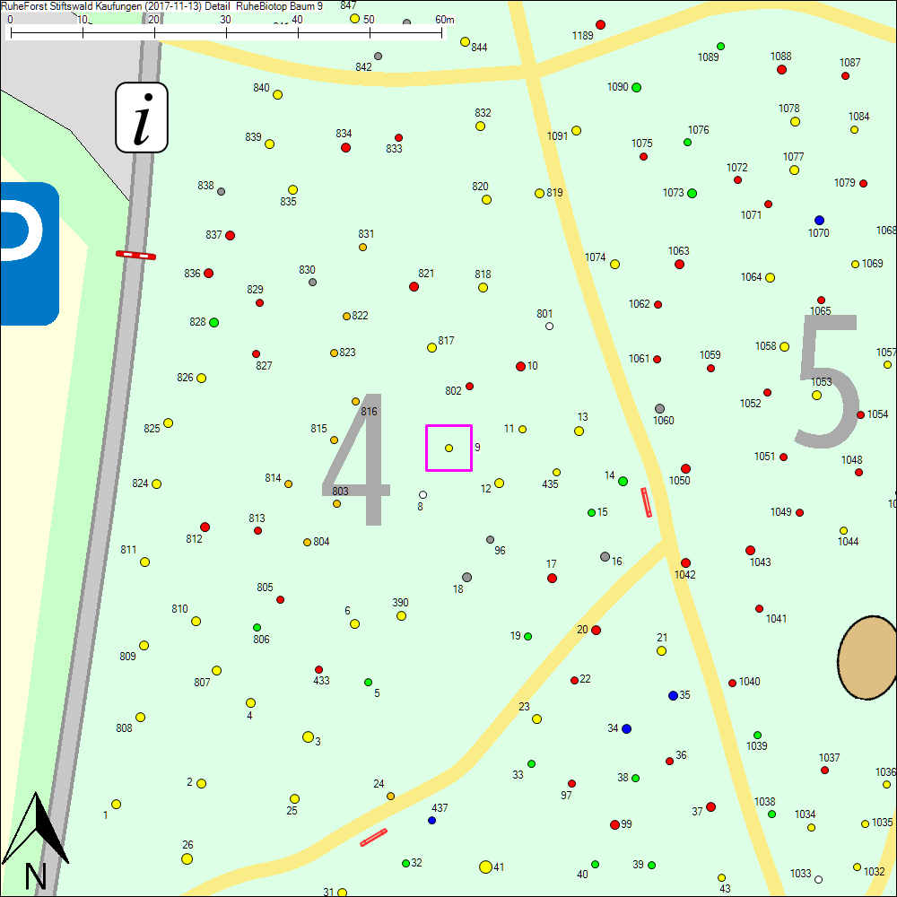 Detailkarte zu Baum 9